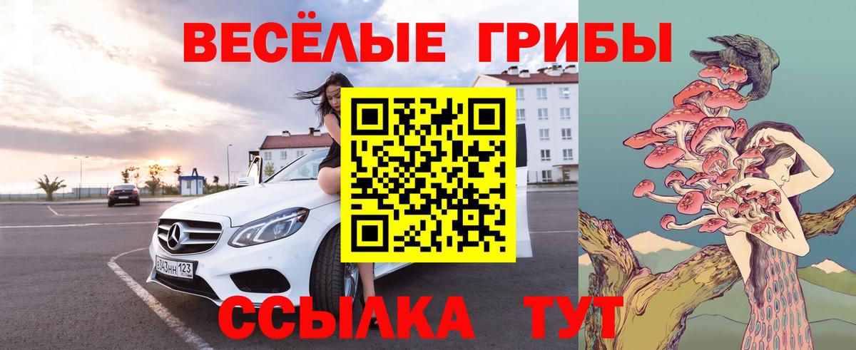 Псилоцибиновые грибы MAGIC MUSHROOMS Ялта