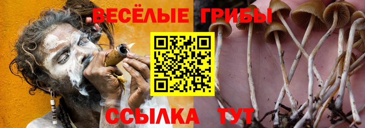 Псилоцибиновые грибы ЛСД  Вход с VPN  Ялта  Псилоцибиновые грибы мицелий 